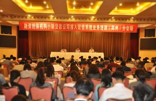 鄭州融資性擔保機構(gòu)助力小微企業(yè)融資 政策支持與市場前景分析