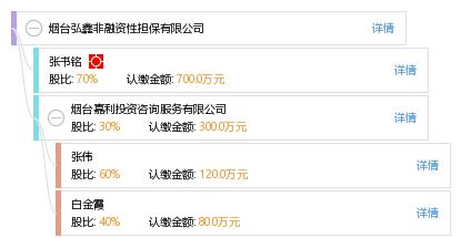 區分非融資性與融資性擔保 以煙臺弘鑫為例解讀擔保行業分類